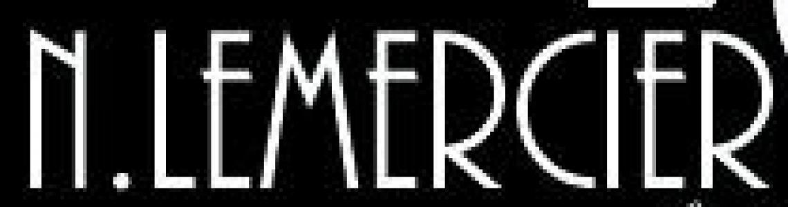Logo de Nlemercier